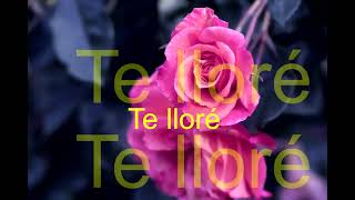 Te Lloré Conjunto Primavera