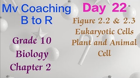 Grade 10 - Biology, Chapter 2, Day 2 1, Figure 2.2 &
