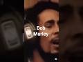 Bob Marley: La Leyenda que Llevó el Reggae al Mundo. #shortvideo