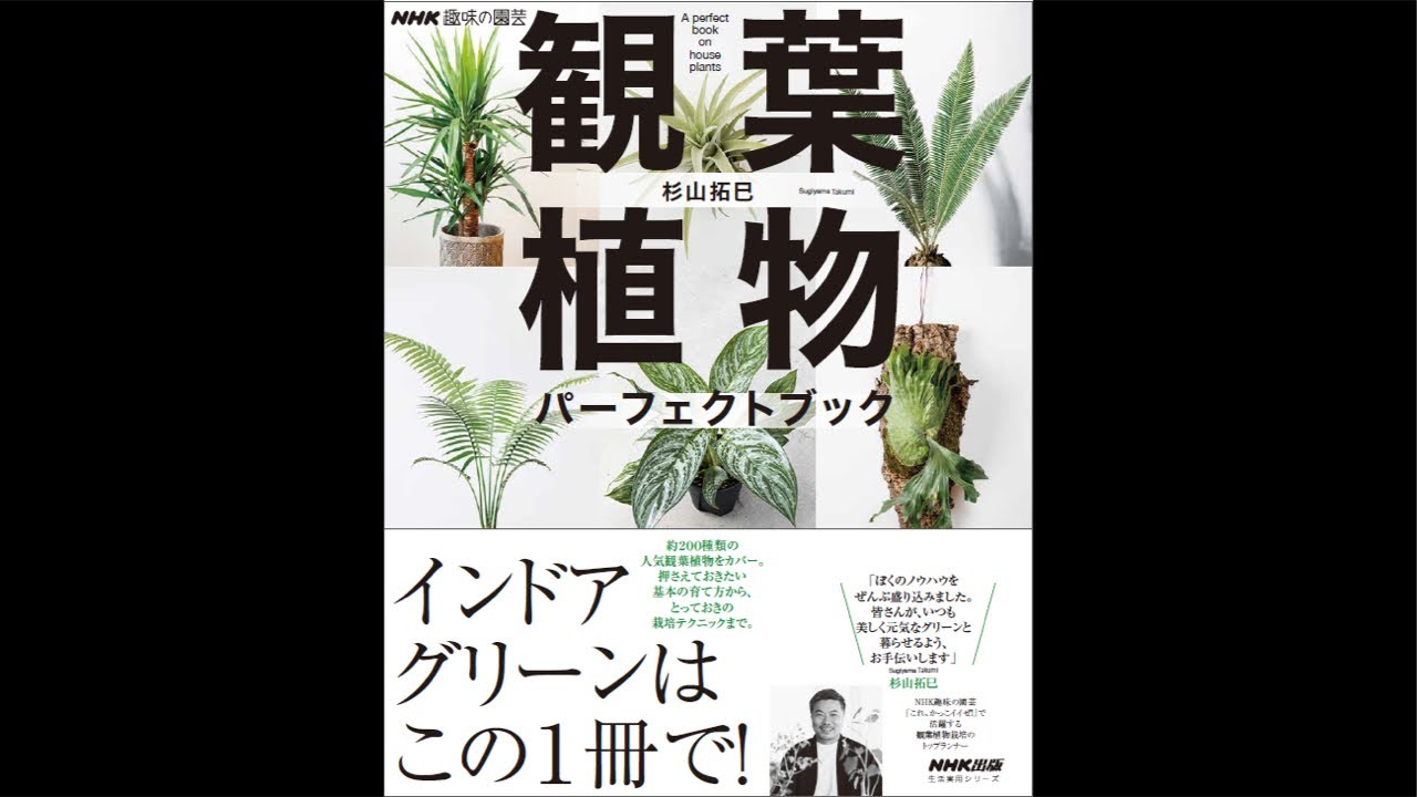 本日発売日‼️観葉植物パーフェクトブック - YouTube