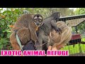 Exotic Pet Refuge | Monster Mike