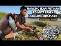 Panen tawes sirip merah langsung dimasak mancing wader pakai umpan uler kandang spot bogowonto