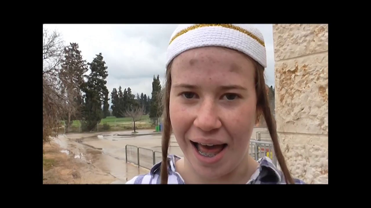 סרט הוליווד ט' 2017- בנהאל