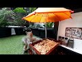 #squirrel video no.216 - Safe Oasis