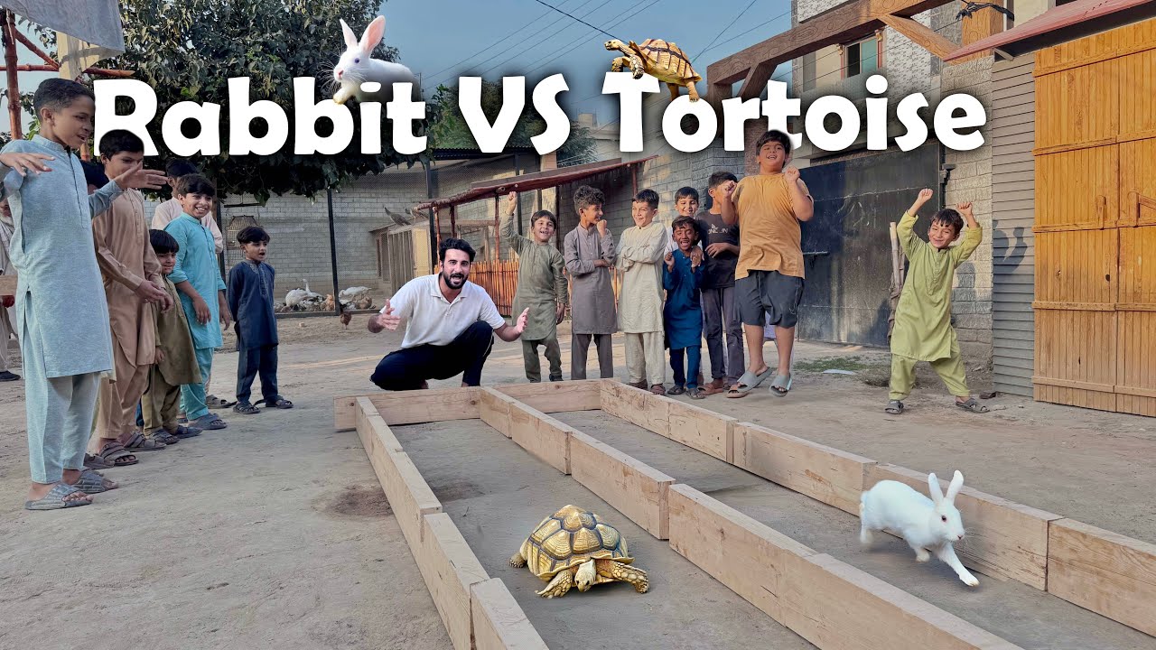 Rabbit Or Tortoise Ki Race Lgwa Di😍Kon Jeety Ga ?