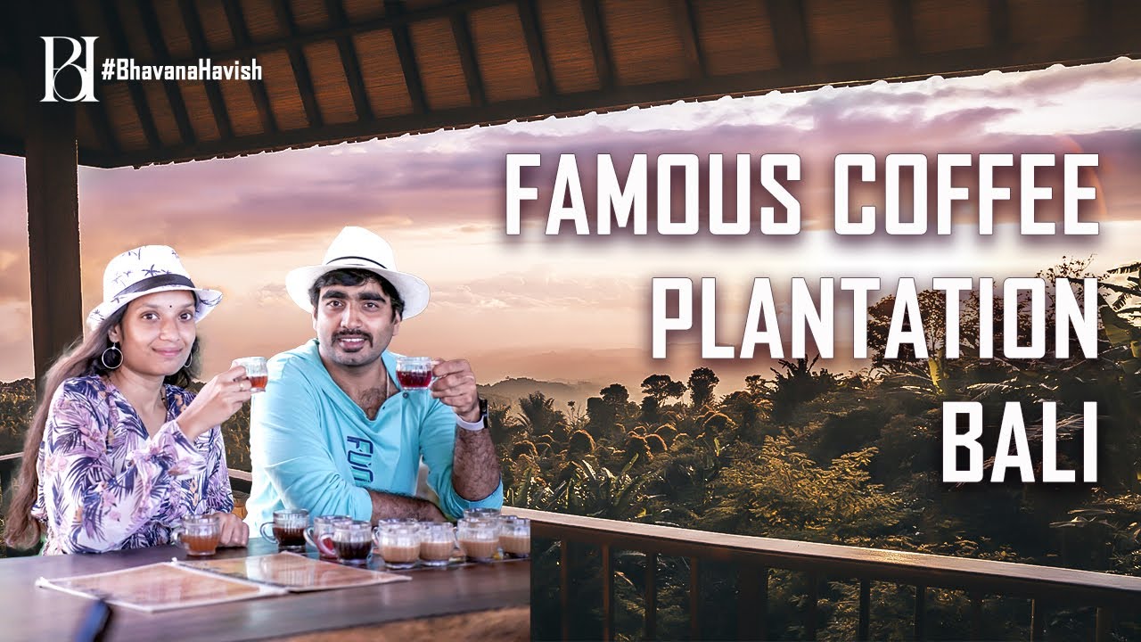 Discovering Bali's coffee culture | Free Coffee Tasting In Bali | Bhavana Havish