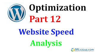 WordPress Optimization Part 12: Website Speed Analysis