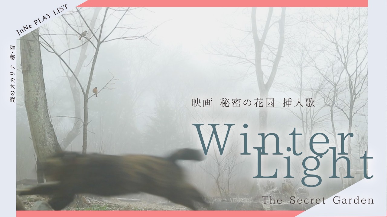 【PLAY LIST】映画「秘密の花園」挿入歌 Winter Light｜森のオカリナ樹音