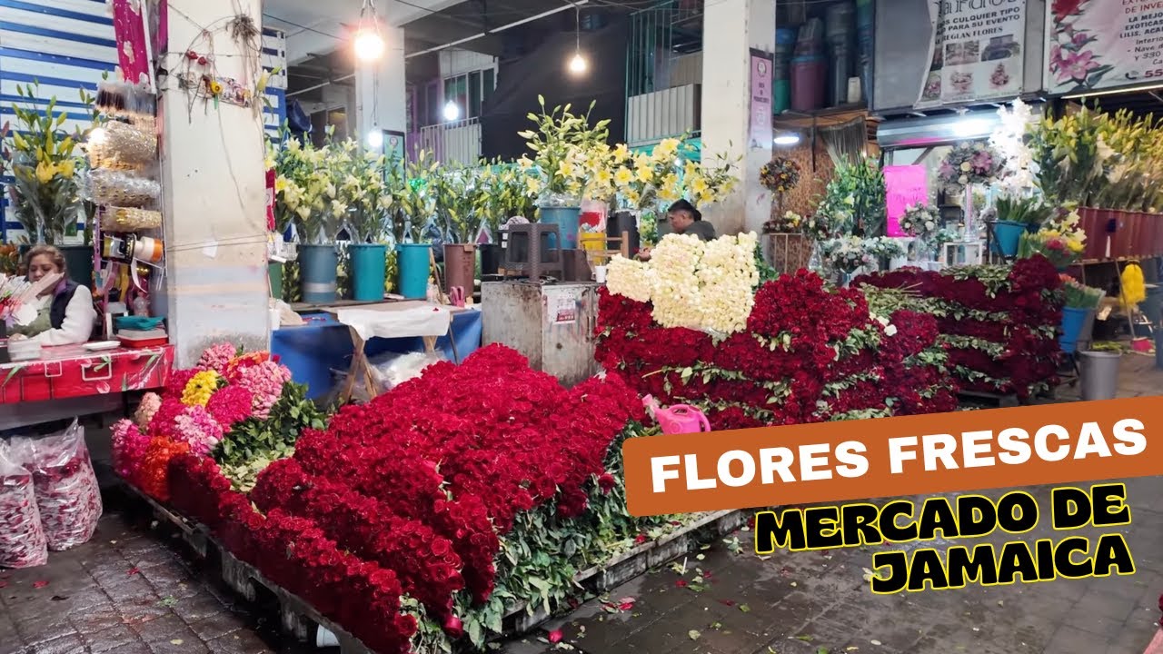 Cientos de flores en un solo lugar | Mercado de Jamaica