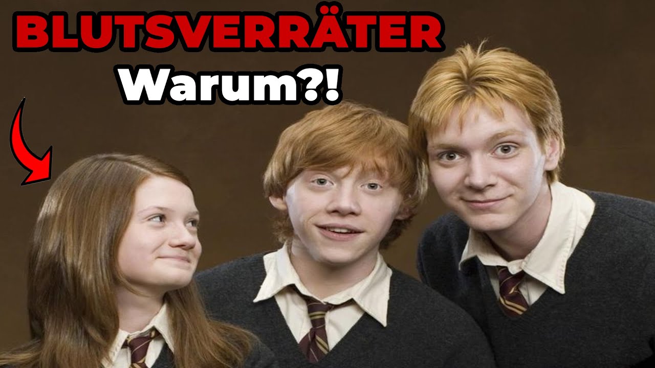 Warum wurden die Weasleys als BLUTSVERRÄTER bezeichnet? - Harry Potter erklärt