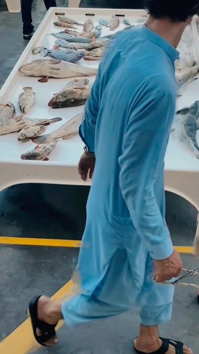Ajman Fish Market UAE mufas fishing fishfis seafood uaefood ajman ajman-fish-market-uae-mufas-fishing-fishfis-seafood-uaefood-ajman