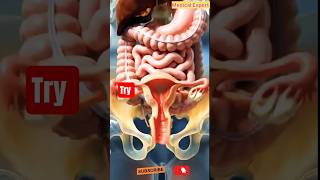 Menstrual Cycle Explained in 3D | Ovulation to Period Process | Female Anatomy Anim | Medical Expert