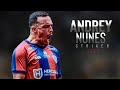  andrey nunes  striker itabirito skills goals  assists  20232024