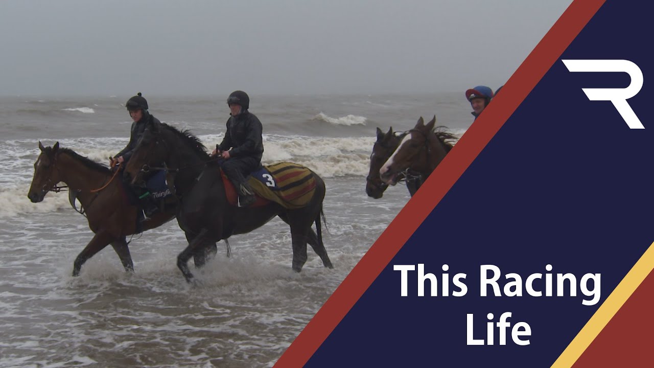 This Racing Life Dundalk Racing TV YouTube