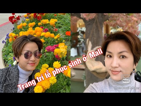 Video: Lễ Phục Sinh: Chuẩn Bị Bánh Phô Mai Tươi