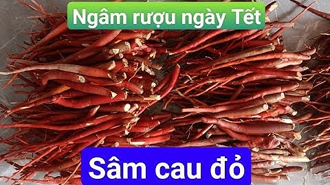 Sâm cau đỏ và củ khúc khắc - ngâm rượu ngày Tết, biếu sếp đãi bạn! Sđt Zalo 0388984410