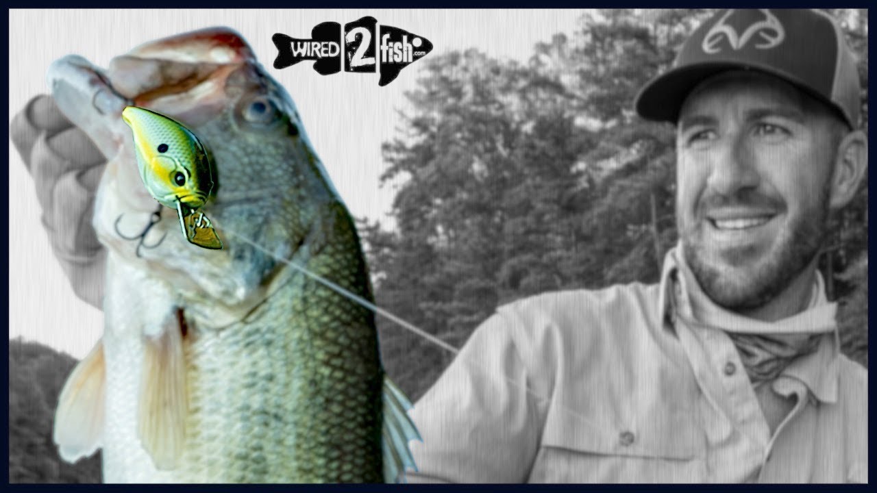 Jacob Wheeler Opens Up on the Jabber Jaw Squarebill Crankbait