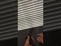 Showing that I switched my Mag release on my G48 #glock48 #firearmcommunity #yourubeshorts