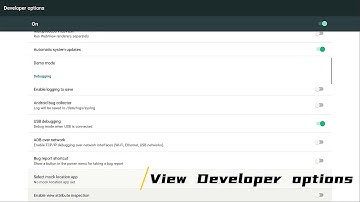 Video Tutorial: How to Enter Developer Options on Firefly Station P1 Geek Mini PC