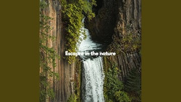 Sublime Forgetting Summer