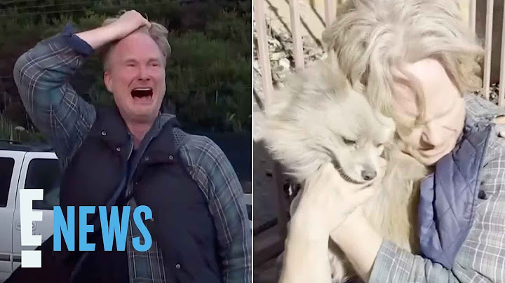 Los Angeles Wildfire Victim Has EMOTIONAL Reunion With Missing Dog 5 Days After Evacuation | E! News