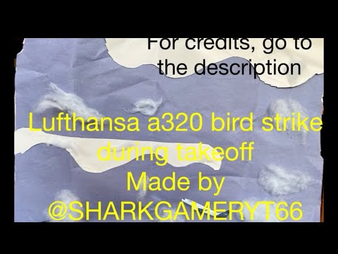 Lufthansa a320 bird strike during takeoff | stop motion