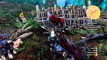 The Witcher 3: Wild Hunt Missing In Action