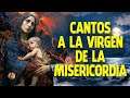 Los 10 Mejores Cantos A La Virgen Maria || Te Fortalecerá Tu Corazón Alma Y Espíritu