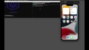 Running React Native and iOS with Debugging in Chrome