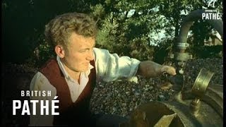Pipe Laying (1957)