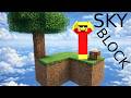 minecraft skyblock