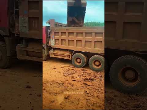 Excavators Load Soil Onto Trucks