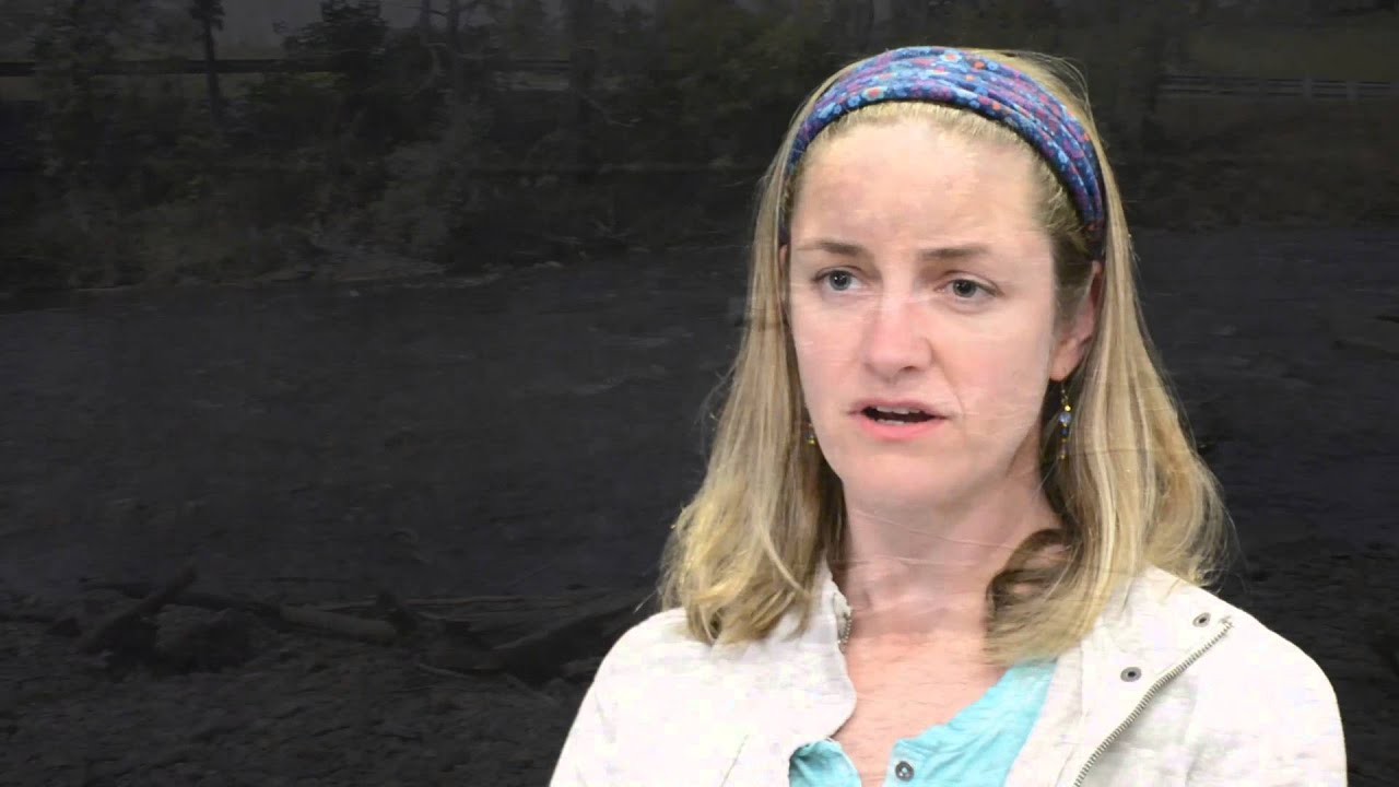 Building Nostalgia: A Story of Bushkill Park, from Mill to Ruin