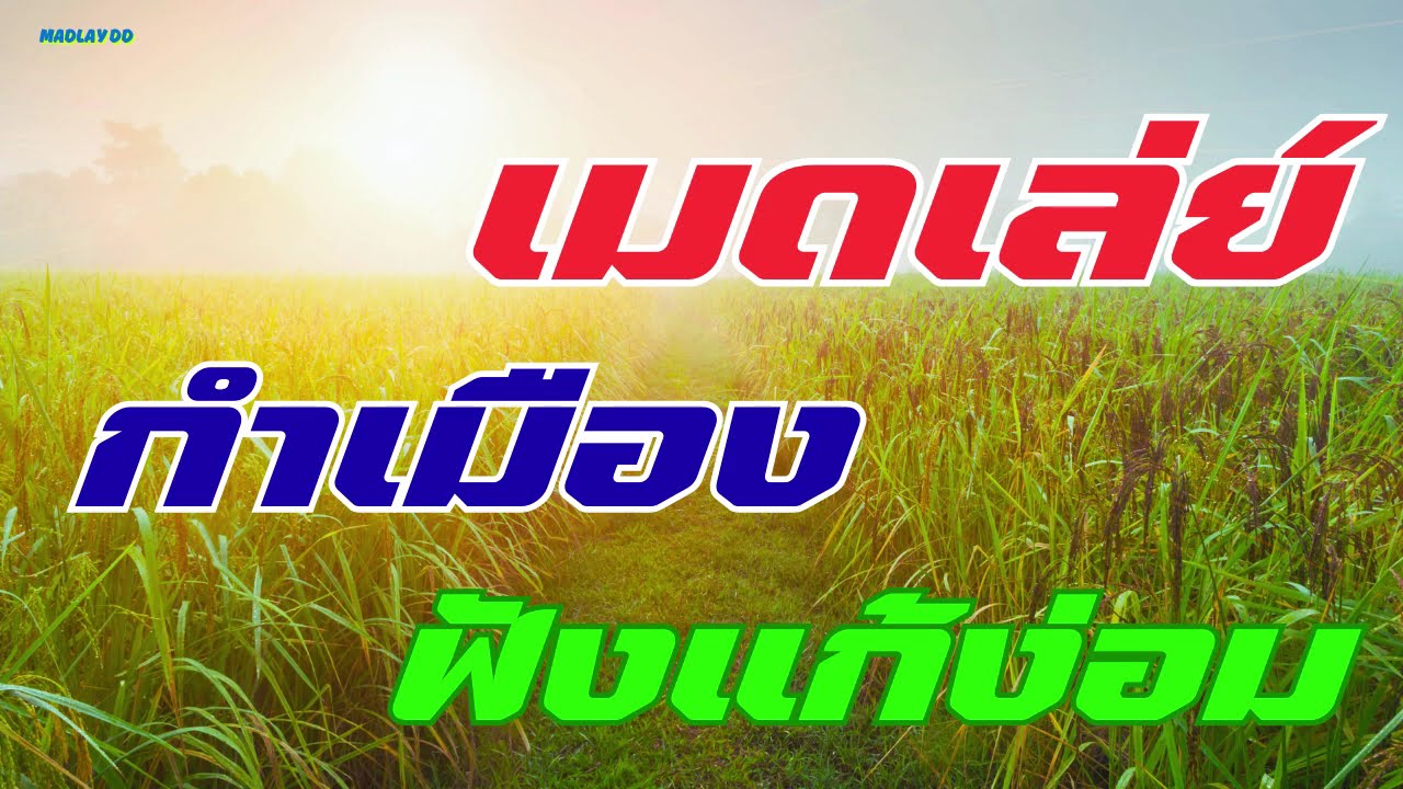 เมดเล่ย์ กำเมือง ม่วนๆ สนุกๆ