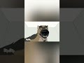 Анимированный комикс Пикси и Брут 2 #пиксиибрут #animation #flipaclip