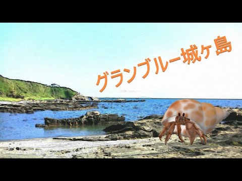 【地球冒険OCEANLORD】三浦ラグーングランブルー城ヶ島後編