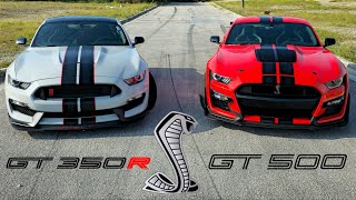 Ford Mustang Shelby GT350R Vs GT500 Track Pack | Direct Comparison \& Review!