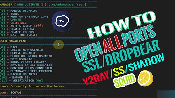 How TO Open All Ports and Manage Firewall On My VPS