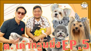 ต.เต๋ากรูมมิ่ง อาบน้ำ-ตัดขนสุนัข ดังไกลไปทั่วโลก | PetsPloy EP.5