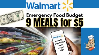WALMART $5 FOOD CHALLENGE | BREAKFAST, LUNCH, & DINNER for 3 DAYS