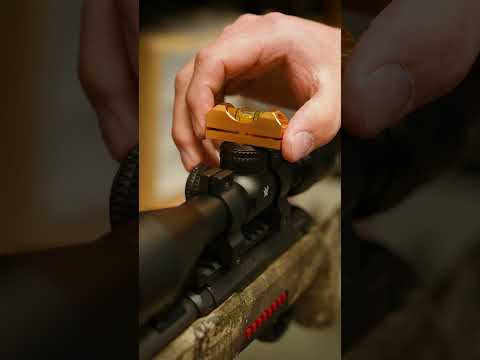 Winchester Xpert 22 Accessories