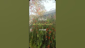 سورة الفرقان 🌹 آیت 66۔63 🍃✨