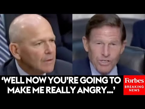 SUPERCUT: Richard Blumenthal Grills Witnesses, Defends Democratic Values | 2024 Rewind