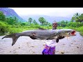 KING COBIA FISH GRILL RECIPE | கடவுறால் மீன் தந்தூரி | Delicious Sea Food Cooking | Village Grandpa