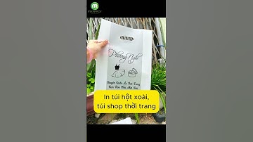 Chuyên in túi hột xoài PE trong, đa dạng mẫu mã