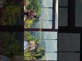 Travelling with my Bestfriend #couple #traveling #cinematicvideo #backpacking #travelshorts #