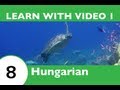 Learn Hungarian with Video - If This Hungarian Video Lesson Makes You Feel Froggy, Then JUMP!