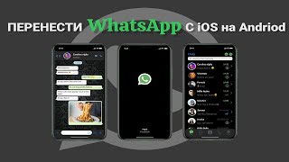 Перенос чатов whatsapp с Android на iPhone! 2 способа в 2023 году