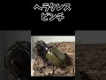 ヘラクレス・ヘラクレスvsサタンオオカブト
