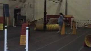 Encore's VERY first Agility Trial